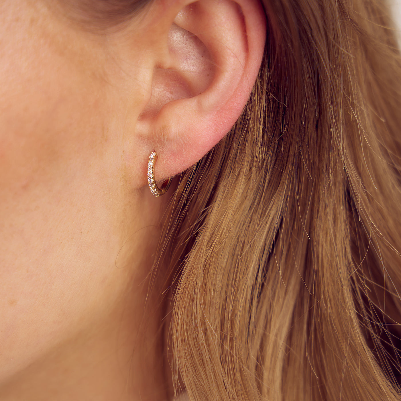 Rose Hoop Earrings Small - Zirconia - 18 carat gold plated